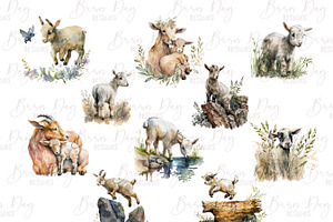 Watercolor Baby Goat Clipart Bundle