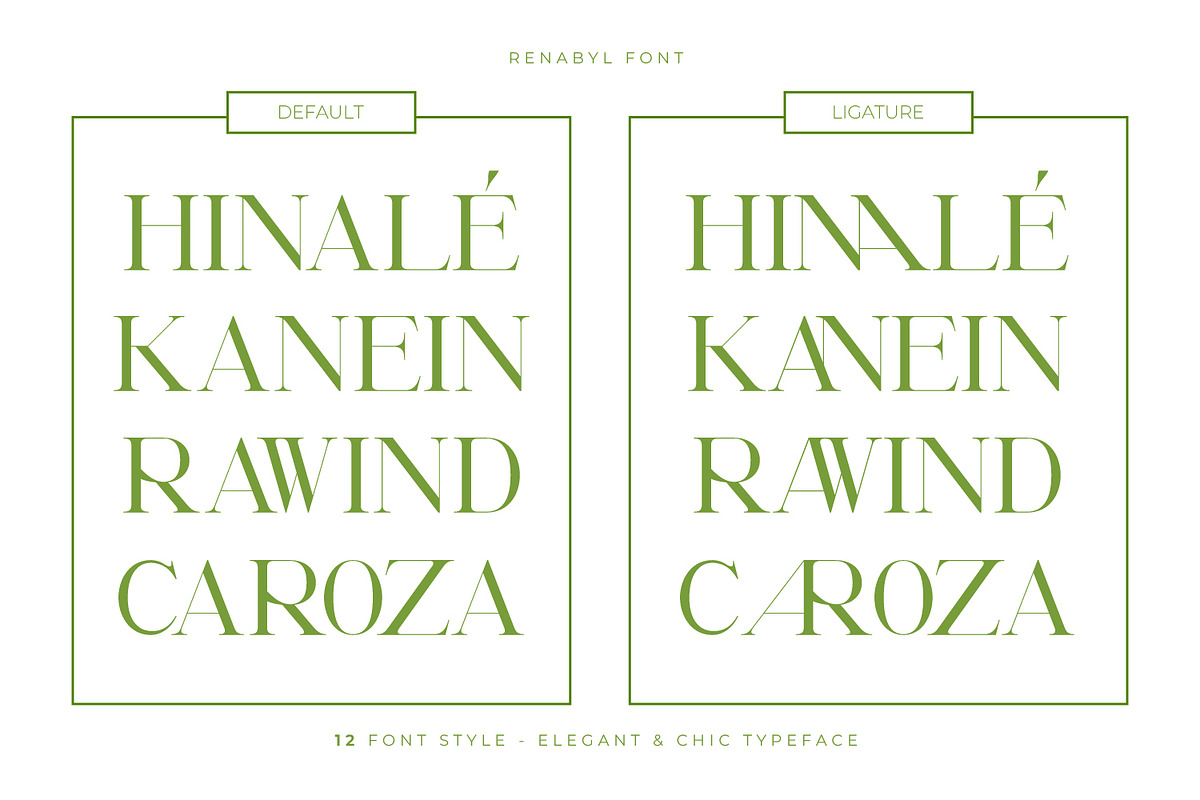 Renabyl - Serif Family Font, a Serif Font by Rishsketch (Photo 12 of 15)
