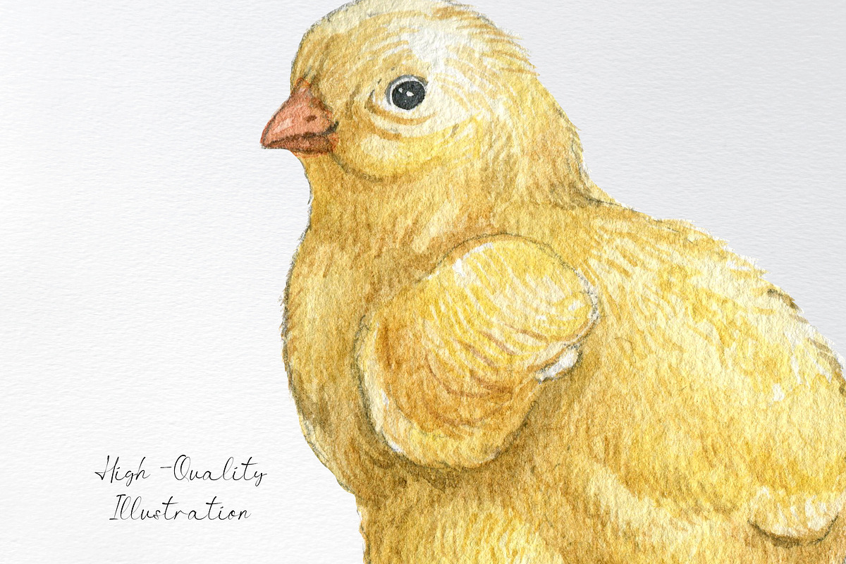 Watercolor easter chicken clipart, an Animal Illustration by yana.fefelova (Photo 3 of 4)