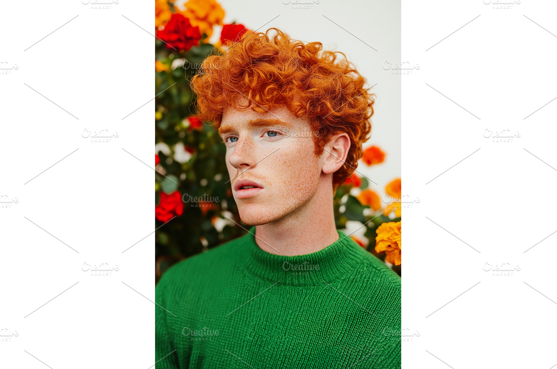 Portrait of a Man with Red Hair and, a Nature Photo by Lermont51