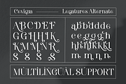 Cevigra Elegant Serif Font, a Serif Font by Graphicxell (Thumbnail 4 of 11)
