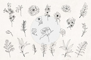 Floral Line Art SVG Botanical Frames, an Illustration by PawGraphic (Thumbnail 4 of 10)