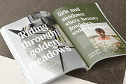 Hasbor Modern Alternate Serif Font, a Serif Font by AmorfaType (Thumbnail 6 of 11)