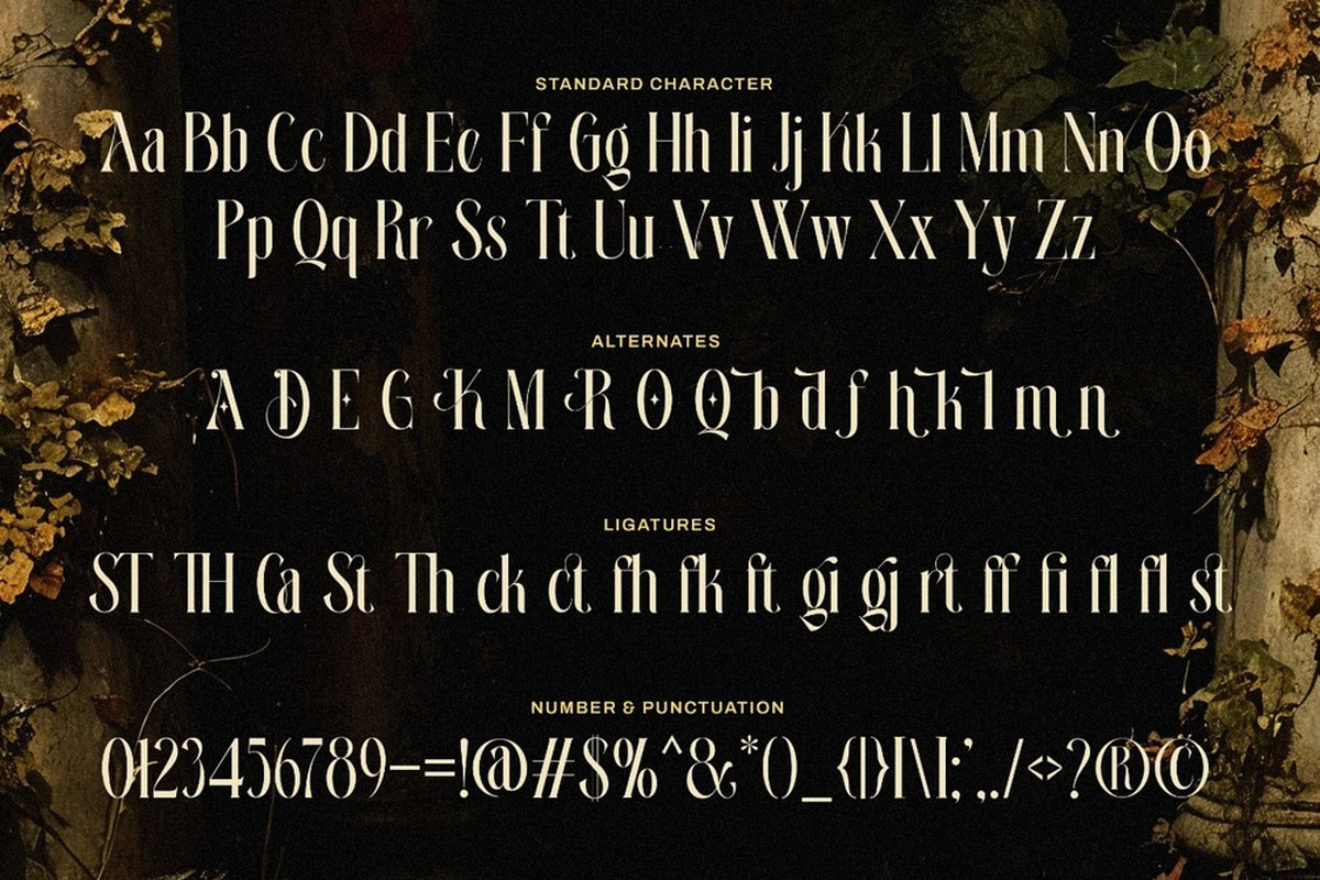 Rielason - Historic Elegance, a Serif Font by Muwatta Studio (Photo 7 of 7)