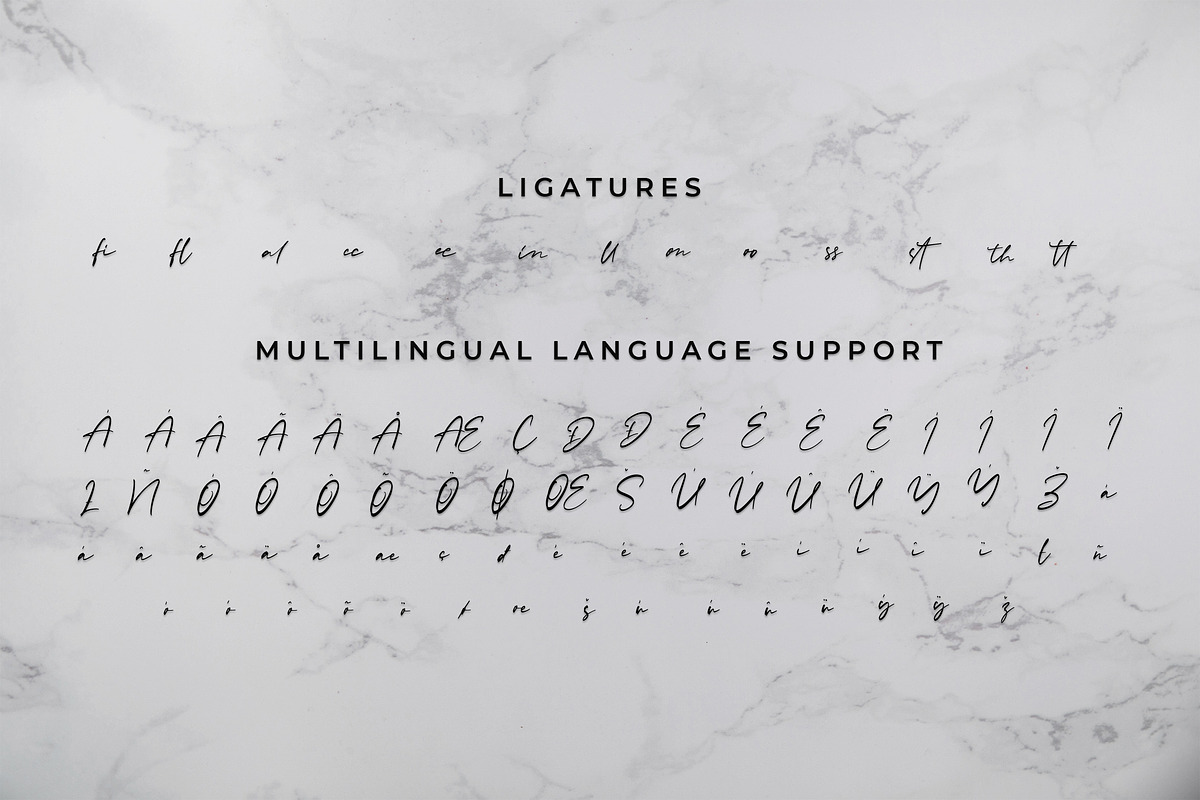 Rachelyne - Modern Calligraphy Font, a Script Font by StringLabs (Photo 9 of 9)