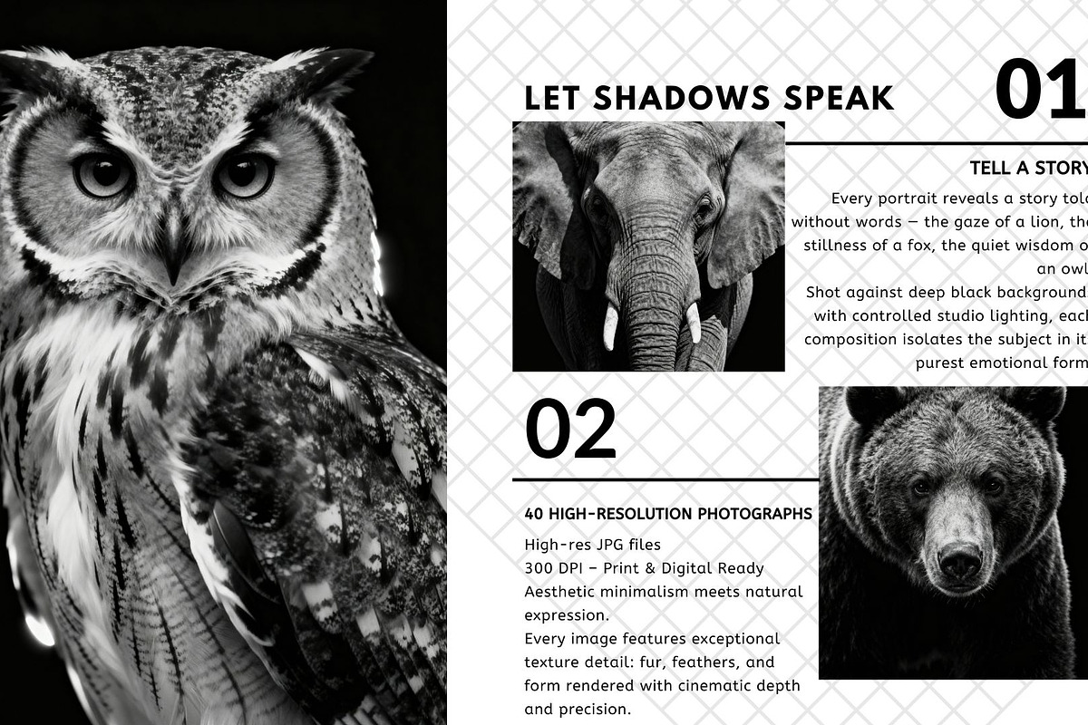 40 Animal Portraits – B&W Collection, an Animal Photo by Virgo Studio (Photo 3 of 6)