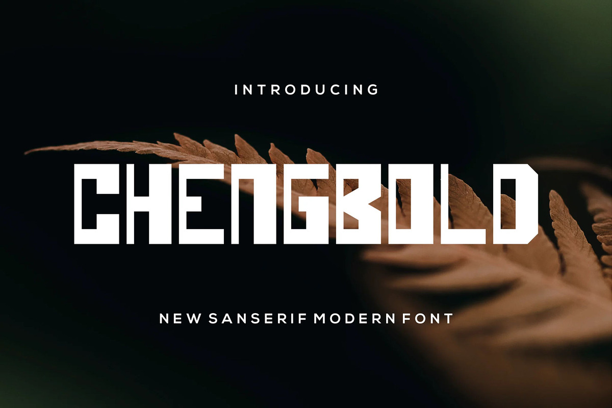 Chengbold, a Sans Serif Font by Auliacreative (Photo 1 of 4)