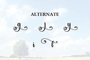 Bright | Script Font, a Handwritten Font by Scratchones (Thumbnail 8 of 9)