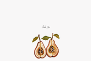 Thanksgiving Food Clipart Bundle, an Illustration by Pati Paints (Thumbnail 5 of 13)
