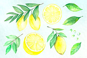 Watercolor lemons, an Illustration by Art Watercolor (Thumbnail 5 of 5)
