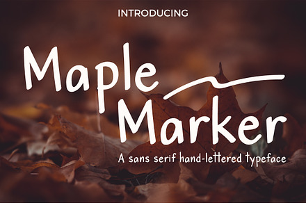 Maple Marker sans serif, a Sans Serif Font by PARAMAJAN