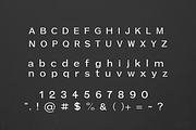 Panama - A Modern Serif Font, a Serif Font by blackdahliapress (Thumbnail 4 of 4)