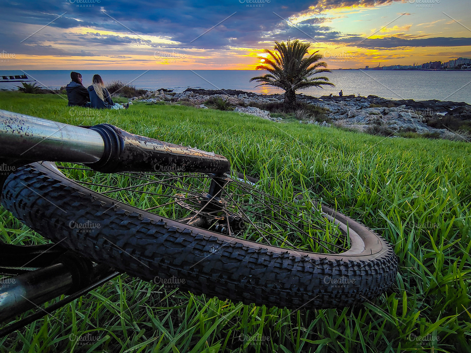 Mountain bike front wheel lying over grass at waterfront park, m, a Transportation Photo by DanFLCreativo