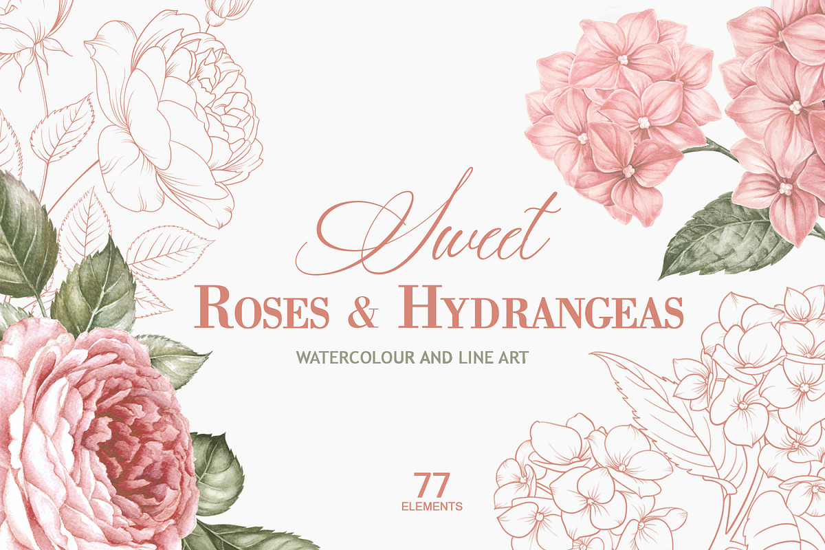 Sweet Roses and Hydrangeas, a Texture Illustration by Kotkoa (Photo 1 of 14)