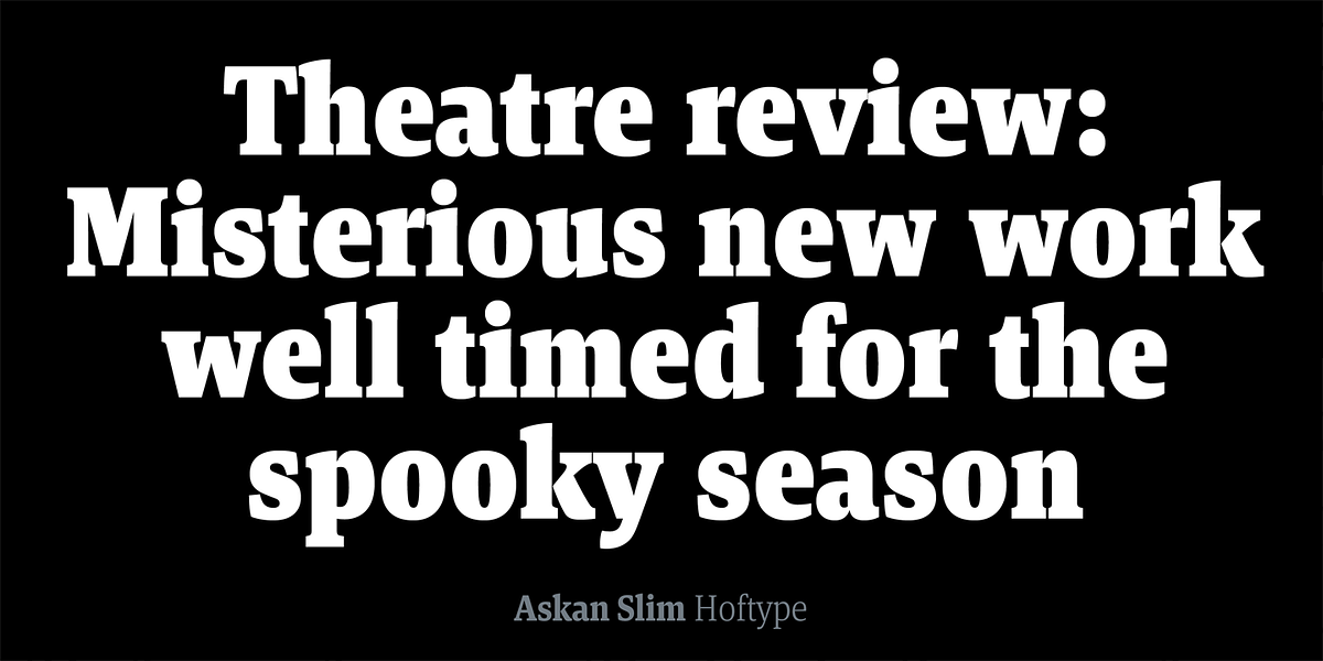 Askan Slim, a Serif Font by Hoftype (Photo 4 of 14)