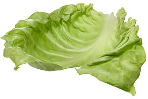 Fresh green cabbage leaf on isolated background, a Food & Drink Photo by ndanko