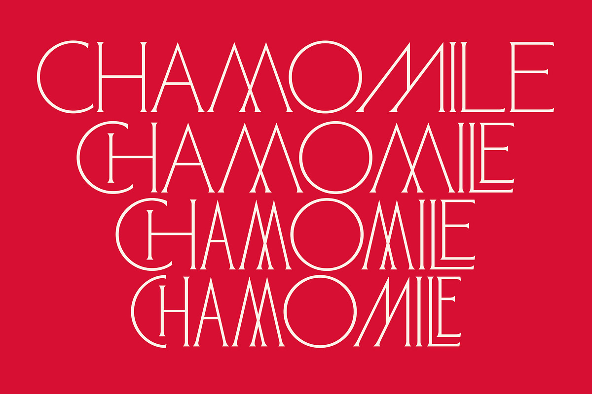 ED Lochaline, a Serif Font by Emyself Design (Photo 3 of 12)