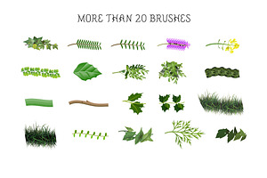 Botanical Brushes & Symbols