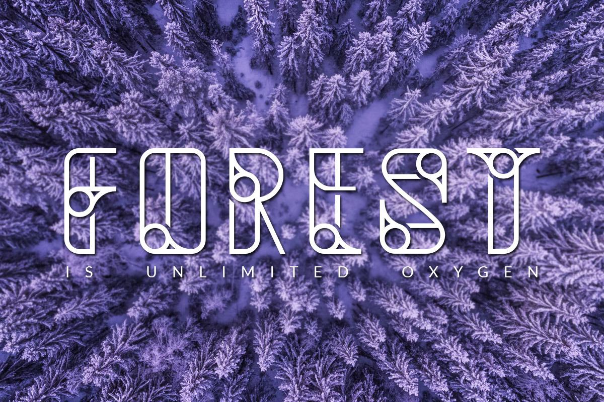 Kavri Display Font, a Font by BringTypeStudio (Photo 7 of 9)