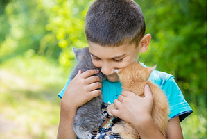 Little kittens in the hands of, a Person Photo by yanadjana