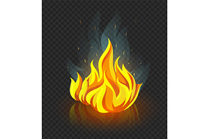 Burning campfire with fire on coal.