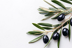Branch with dark olives and leaves, a Food & Drink Photo by MistyDay