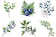 Watercolor Blueberries Clipart, an Illustration by Libby Wishes (Thumbnail 3 of 11)