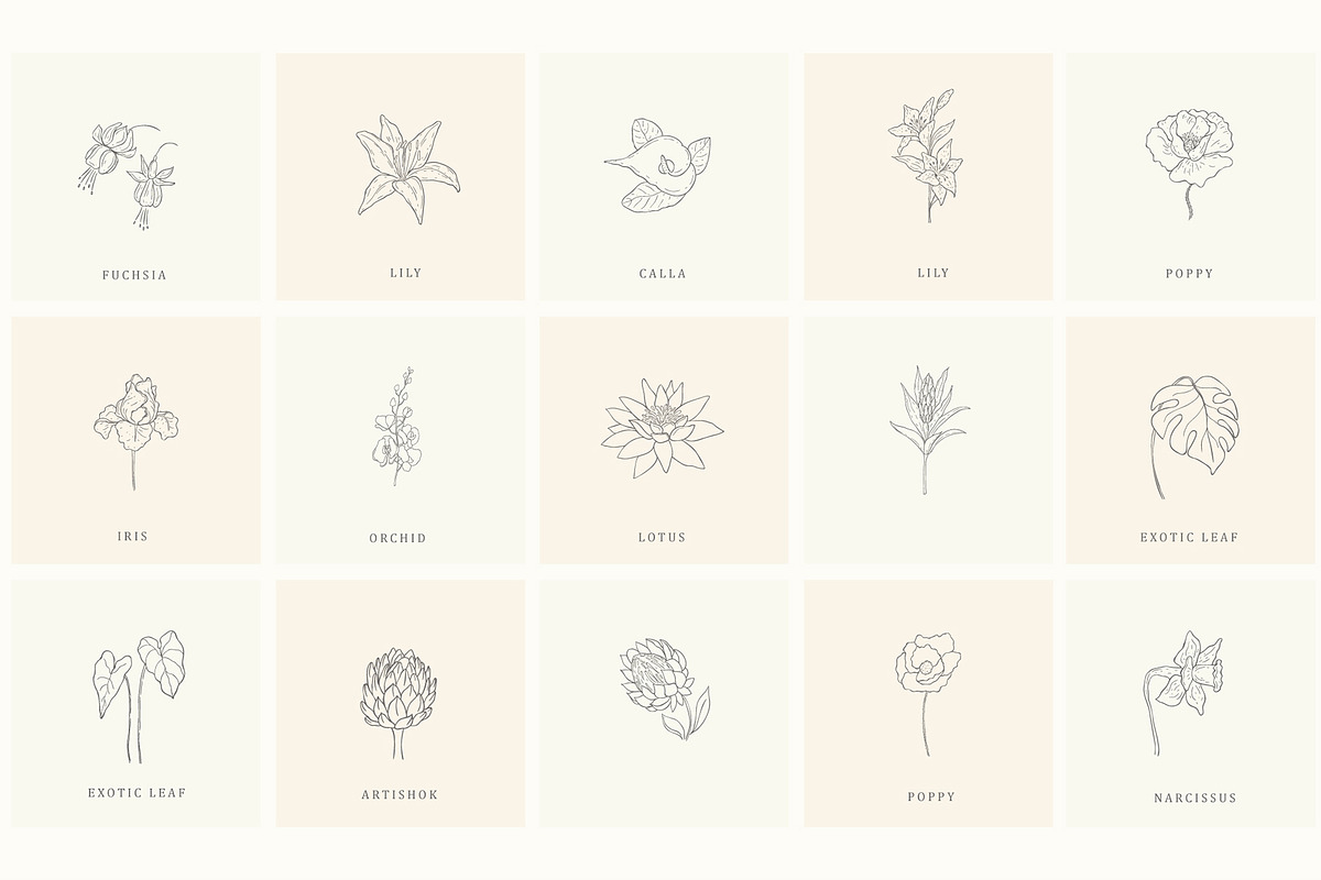 Botanical Hand Drawn Designs, Logos, a Seasonal Illustration by Designwork (Photo 6 of 22)