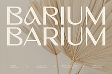 Barium - Luxury Elegant Beauty Sans