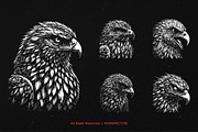 10 Bundle Dark Art Hawk Head Bird, an Illustration by Morspective (Thumbnail 5 of 7)
