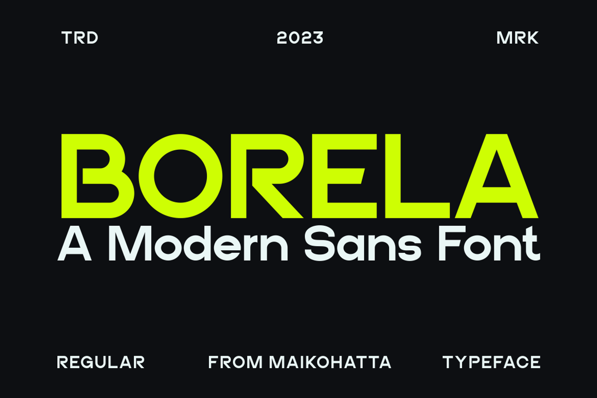 Borela - A Modern Sans Font, a Sans Serif Font by MaikoHatta (Photo 1 of 6)