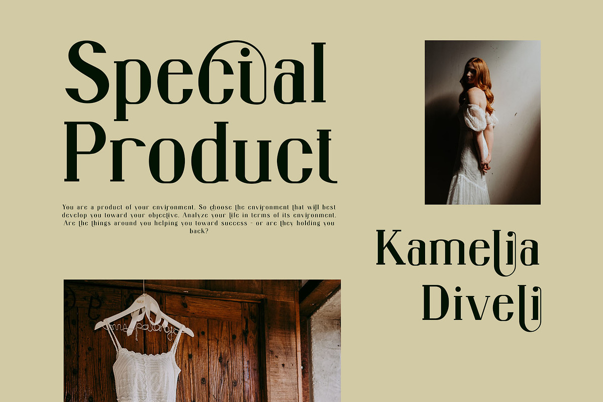 Bragita Ligature Serif Typeface, a Serif Font by Humaira_std (Photo 4 of 9)
