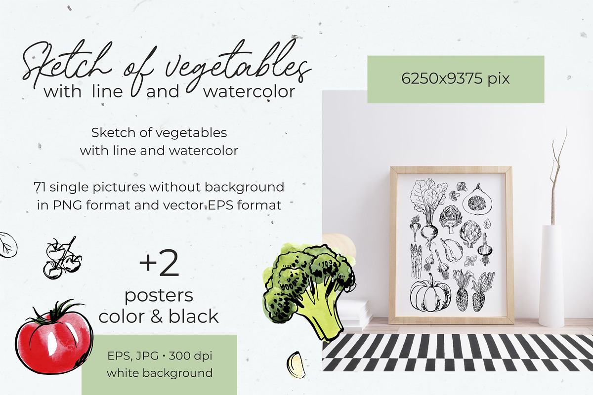 Vegetables vector sketch watercolor, a Food Illustration by irina.vaneeva (Photo 16 of 18)
