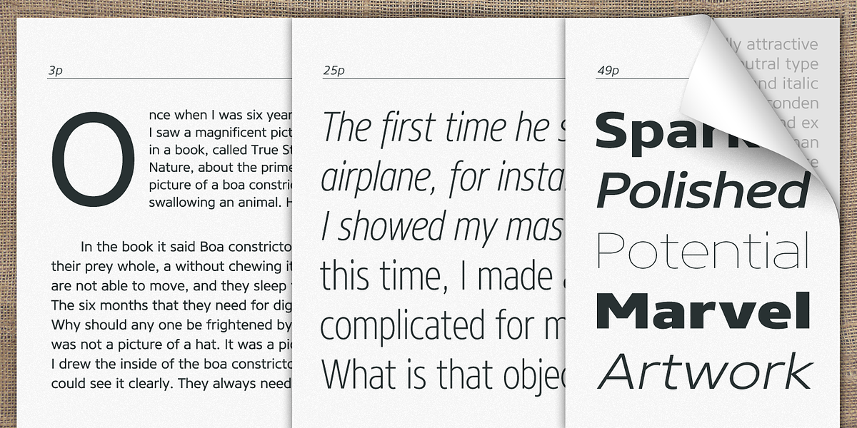 Core Sans N, a Sans Serif Font by S-Core (Photo 4 of 6)