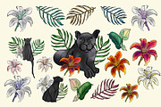 Panthers clip art + 10 patterns, an Animal Illustration by Pollyksena (Thumbnail 1 of 3)