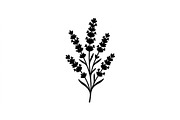 Lavender Botanical Silhouette Set, an Object Graphic by Designs_River (Thumbnail 2 of 3)