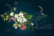 The Somerset Blooms - Clip Arts Set, an Illustration by SmallHouseBigPony (Thumbnail 6 of 9)