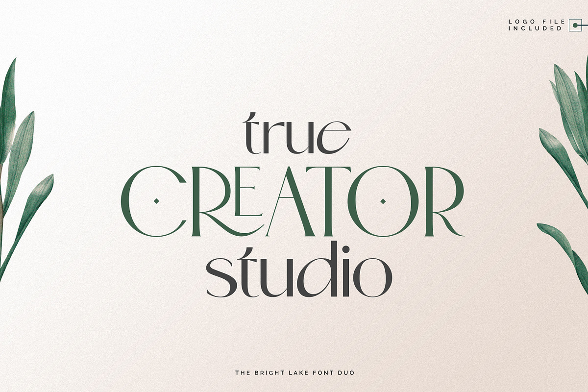 The Bright Lake Font Duo + Logos, a Serif Font by SNIPESCIENTIST (Photo 2 of 31)