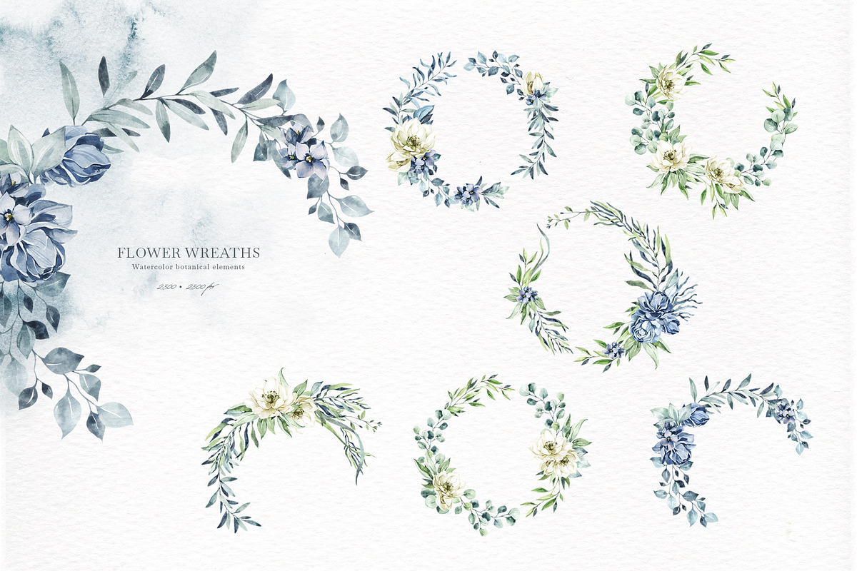 OCEANIA Watercolor set, an Animal Illustration by Anastezia Luneva (Photo 9 of 12)