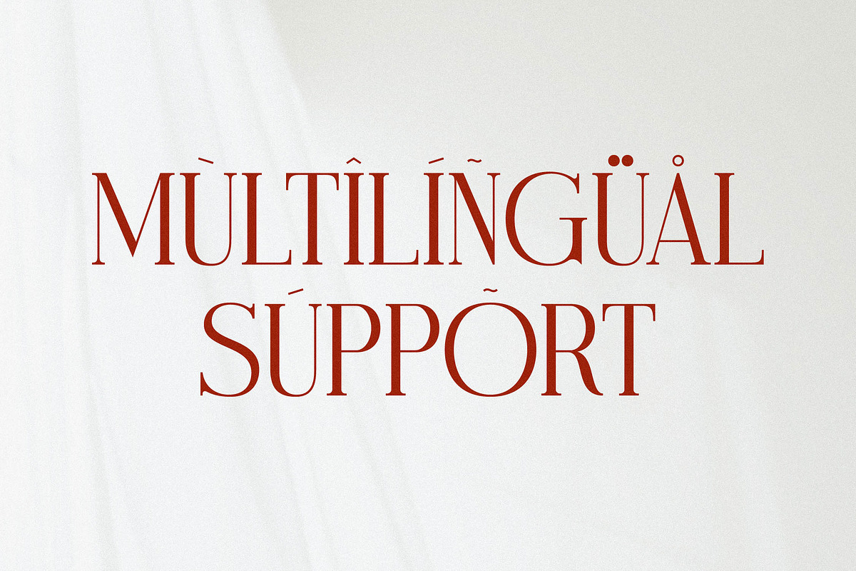 Modasite Modern Serif Font, a Serif Font by Letterena Studios (Photo 11 of 14)