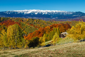 Autumn landscape with colorful trees, a Nature Photo by Alpine Dreams