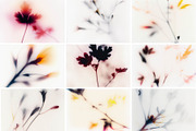Foggy Flower Collection, a Background Graphic by nkate (Thumbnail 4 of 11)