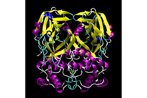 3D structure of coronavirus SARS-CoV, a Healthcare Illustration by Leonid Andronov