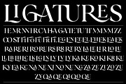 Sericate - Ligature Font, a Serif Font by Mulkan Nazir (Thumbnail 18 of 19)