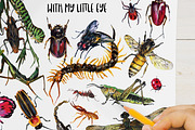 Insects activity printable book, an Animal Illustration by ArtSpotVeronika (Thumbnail 4 of 5)