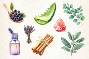 Watercolor Natural Remedies Clipart, an Illustration by Dream Creation (Thumbnail 3 of 5)