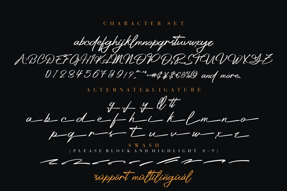 Platinum Signature Font, a Handwritten Font by Burhan Afif (Photo 8 of 9)