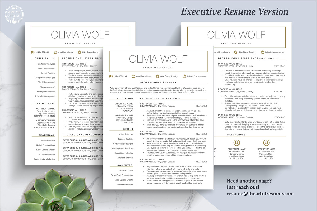 Free Resume CV Template | Professional Executive Resume preview 5