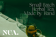 New Tropic - 8 Style Font Family, a Serif Font by Tropical Type (Thumbnail 12 of 15)