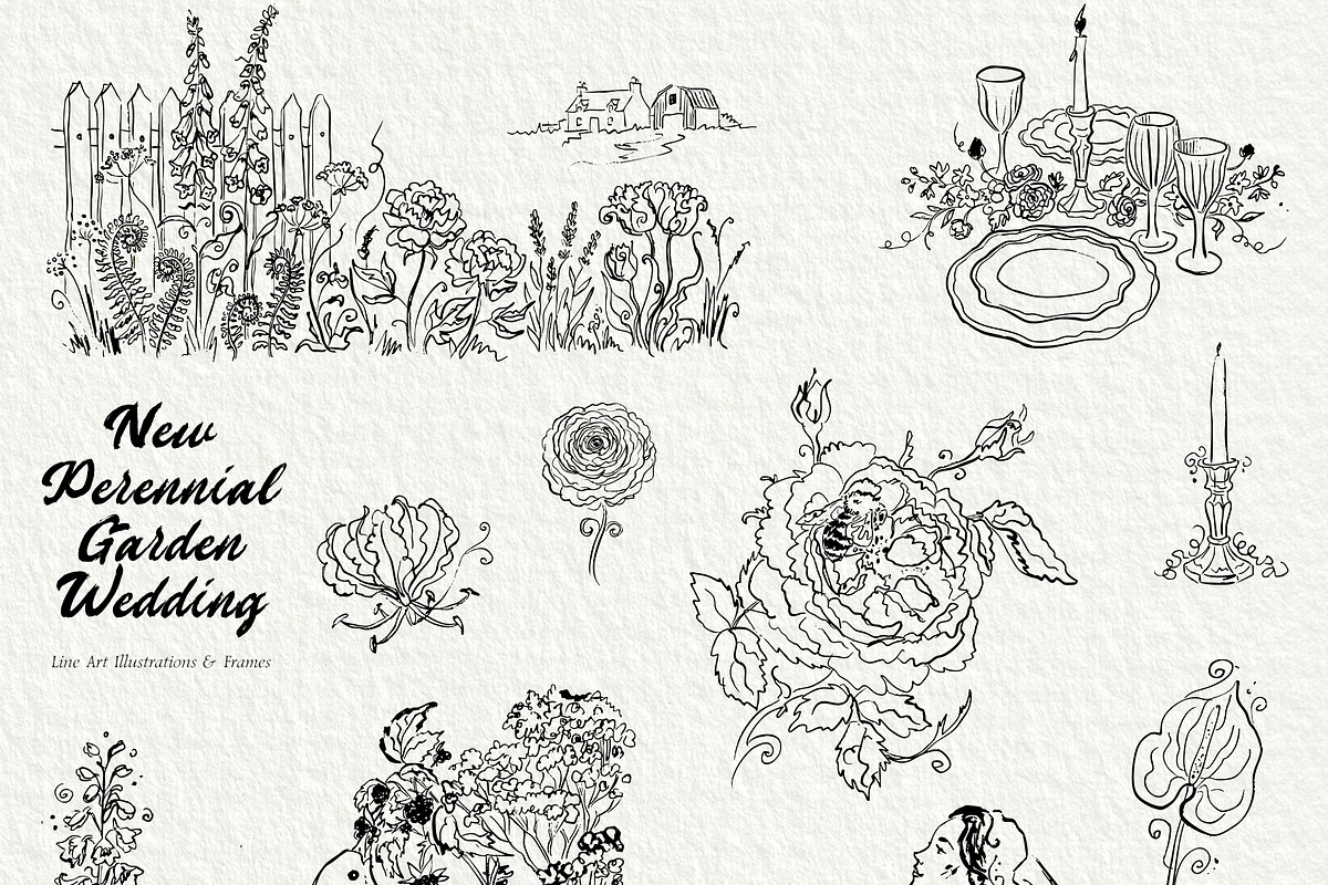 New Perennial Garden Wedding, a Decorative Illustration by divanovskaya_nv (Photo 13 of 27)